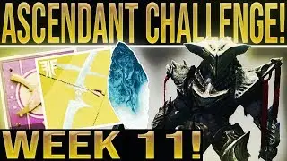 Destiny 2. SOLO ASCENDANT CHALLENGE! Week 12 Solo Guide, Corrupted Egg Locations, Lore & More!
