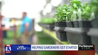 The Rebound: Greenhouses