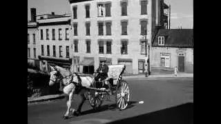The Cal&egrave;che Driver