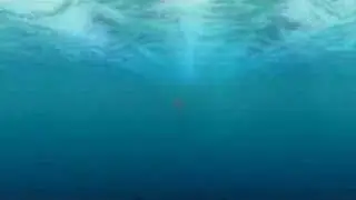 Nemo Ingles 1