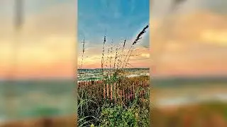Life in Ormond by the Sea Florida 🐬🌞🏝