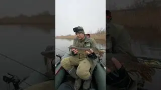 Скоро на канале))) #carpdesign