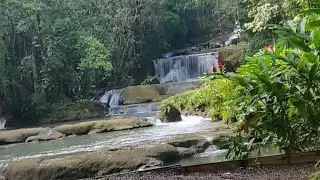 YS Falls (tourist attraction) Saint Elizabeth Jamaica #travel 