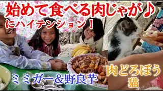 ビビちゃんが作った豚のミミガーの肉じゃがが美味しすぎた！