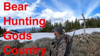 Idaho spring bear hunt June 2022