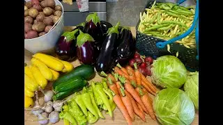 2023 Vegetable Garden Tour #6 - Zone 4B