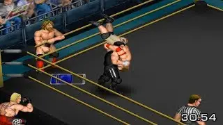 Fire Pro Wrestling World Gameplay (PC)