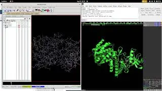 Setting the Gridbox: Autodock Vina Basic Molecular Docking Tutorial
