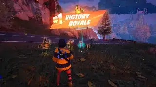 POLLY (BEE POSITIVE PACK) Skin Solo Gameplay in FORTNITE!