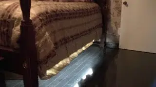 forpow iLLumiBed LED Bed Light
