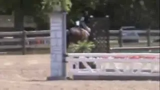 Windfall Farm Hunter Derby 2012