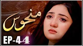 Manhoos &ndash; Episode 44 | Betrayal, Family Wars & Shocking Decisions | New Pakistani Drama