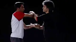 GLOBALink | Chinese Kung Fu in eyes of Iranian Kung Fu masters