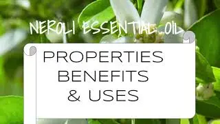 Neroli Essential Oil - Benefits & Uses