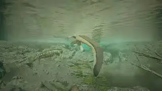 Path of Titans - Tylosaurus vs. Tylosaurus (010)
