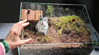 STEPHAN EST DEVENU SAUVAGE DANS LE TERRARIUM SOUTERRAIN