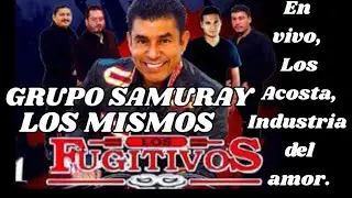 Éxitos Los Mismos. Los Fugitivos. Los Acosta. Industria del amor. Éxitos Samuray