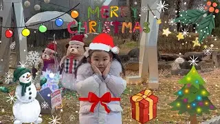 [육아로그] 메리메리 크리스마스 ! 🎄🎁