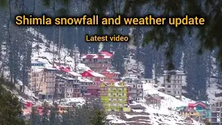 Shimla snowfall and weather update| today Shimla| Himachal Pradesh 