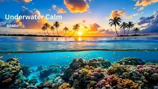 Deep Relaxation | 90 Minutes of Peaceful Underwater Fish for Sleep, Relax & Stress Relief