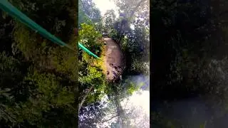 360 Drone/Pamba/Sabarimala Ayyappa Hills  Hardest Pilgrimage #drone #ayyappa #shorts #thelastcholas
