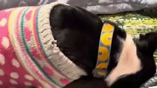 Bed Break Dancing Dingus 9