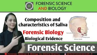 Composition and Characteristics of Saliva || Forensic Biology