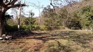 Sarapduli Forest Guest House, Dhikala Zone