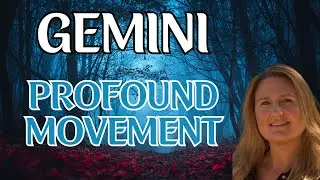 GEMINI ♊️ PROFOUND MOVEMENT TOWARDS OPPORTUNITIES & SOUL ALIGNMENT 