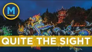 What to expect when visiting Montreal's iconic botanical garden | Your Morning