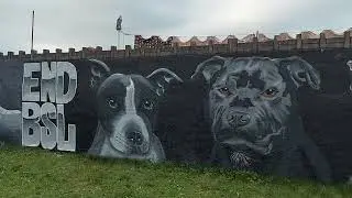 #END BSL