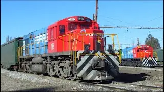 FEPASA CHILE, CARGANDO CELULOSA EN ESTACIÓN SAN JAVIER