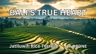Is this better than Ubud? 🌾 Bali’s Largest Rice Terrace 4K Drone