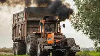 Fiat 980 DT in de mais van Mark Nap | Maisoogst 2023 | No smoke no poke!