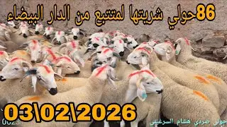 بسم الله #86حولي شريتها لمتتبع من #الدار البيضاء 03\02\2026