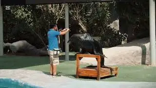 A Family Day Like No Other at Emirates Park Zoo