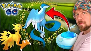 Night Time! shiny g bird  Hunt ✅LIVE!