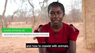 Binga Wildlife Documentary