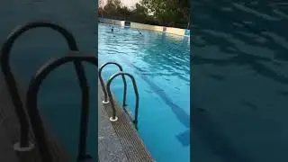 Munirka Swimming Pool ! See Description for more detail.