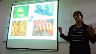 LA MICROCLASE : PRIMER PASO EN LA DOCENCIA