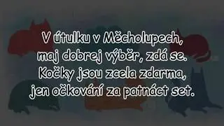 Pok&aacute;č - M&aacute;m doma kočku | TEXT | Pavel Kozler