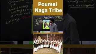 POUMAI NAGA TRIBE #bestiasacademy #poumainagatribe #tribesinnews #nagatribe
