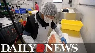 Meade Digital delivers the catch of the day from Fulton Fish market