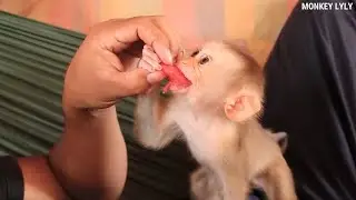 A Secret Trick Dad Comfy Baby Lyly After Wake Up