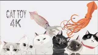 Cumi - Cumi Mainan Kucing 4K CAT GAMES