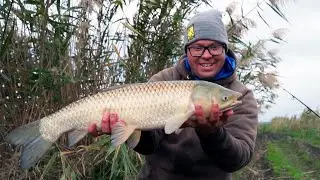Bottom Fishing School. Caucasus: In Search of Chechen Amur