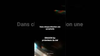 DRAGON les protecteurs du ciel