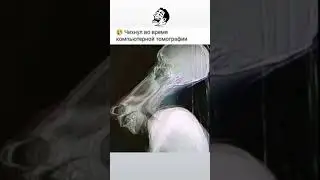 Подписывайся и ставь лайк 👍😂#shorts #comedy #jokes #humor #шутка #юмор #прикол #анекдот #смех