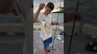 Гавайи. Рыба-бабочка Аурига. Сын поймал.
