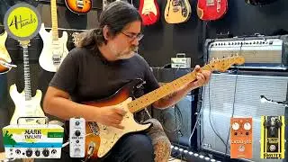 REVIEW E DEMONSTRAÇÃO - GUITARRA - FENDER - STRATOCASTER - STANDARD - MIM - SUNBURST